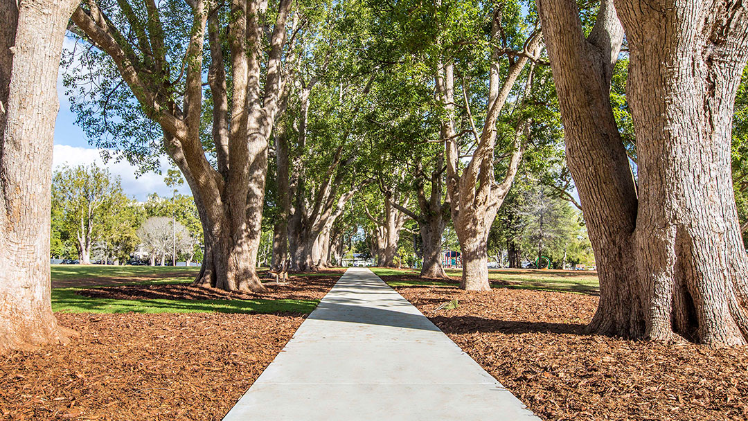 TLCC Environment Public Spaces Parks Project Queens Park Toowoomba