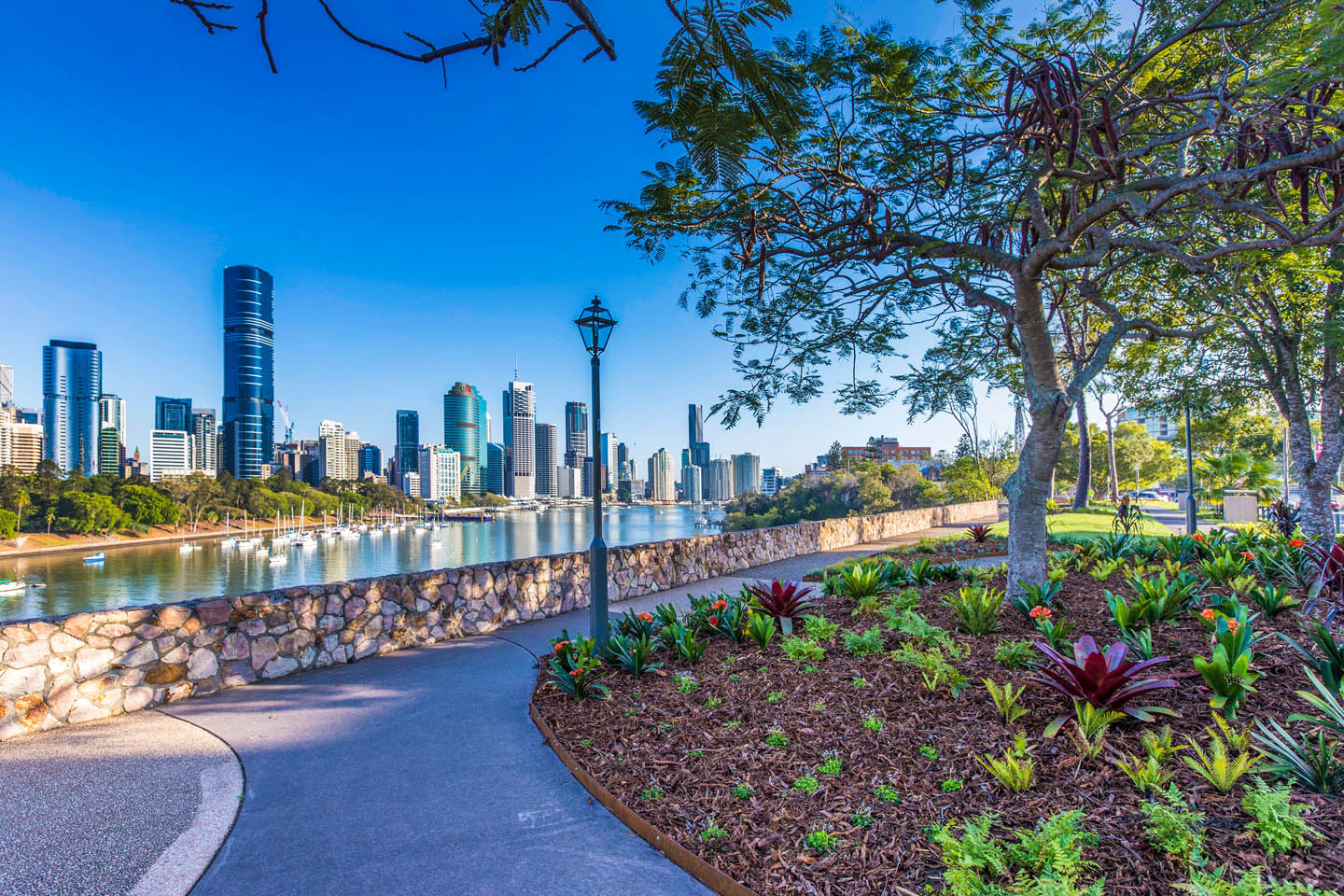 River Terrace Cliff-top Garden Renewal in Kangaroo Point Brisbane by TLCC