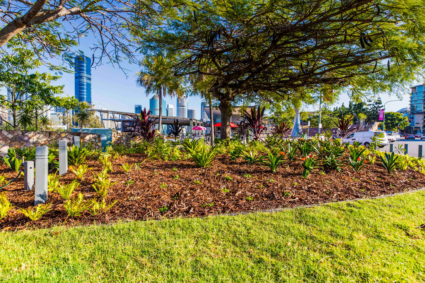 River Terrace Cliff-top Garden Renewal in Kangaroo Point Brisbane by TLCC